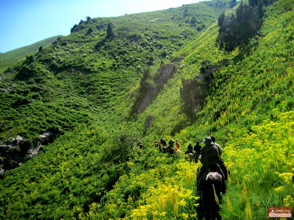 Cultural tour Kyrgyzstan